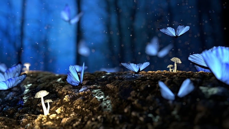 Enchanted Spa