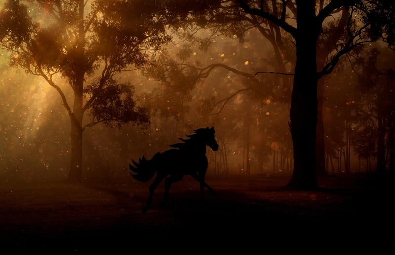 Fairy in a magical forest
